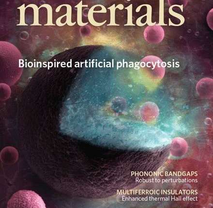 Latest Top 10 Outstanding Achievements in Materials